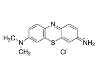 姬姆氏色素，BS